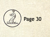 Sowerby pattern book IX 1885 Page 30