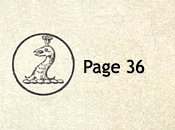 Sowerby pattern book IX 1885 Page 36